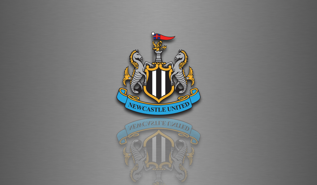 Известная футбольная команда Англии Ньюкасл Юнайтед