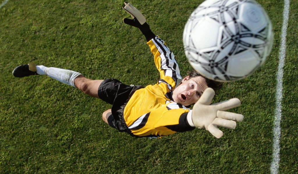 Вратарь ловит мяч