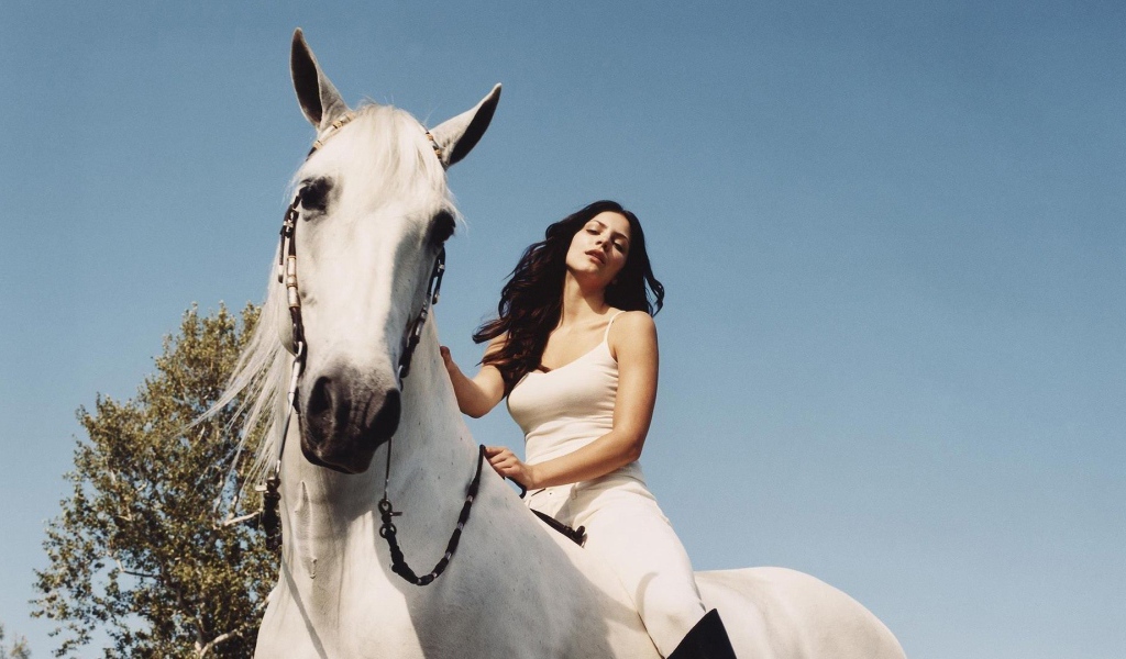 Катарина на белой лошади