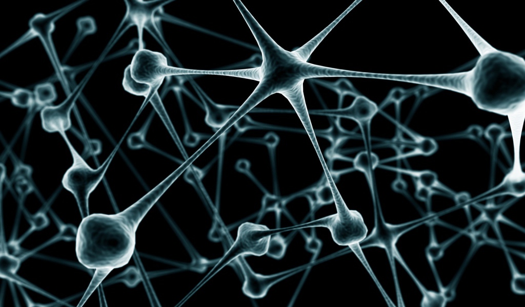 Связи нейронов в мозге