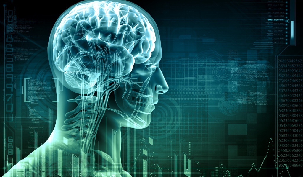Цифровой снимок мозга человека