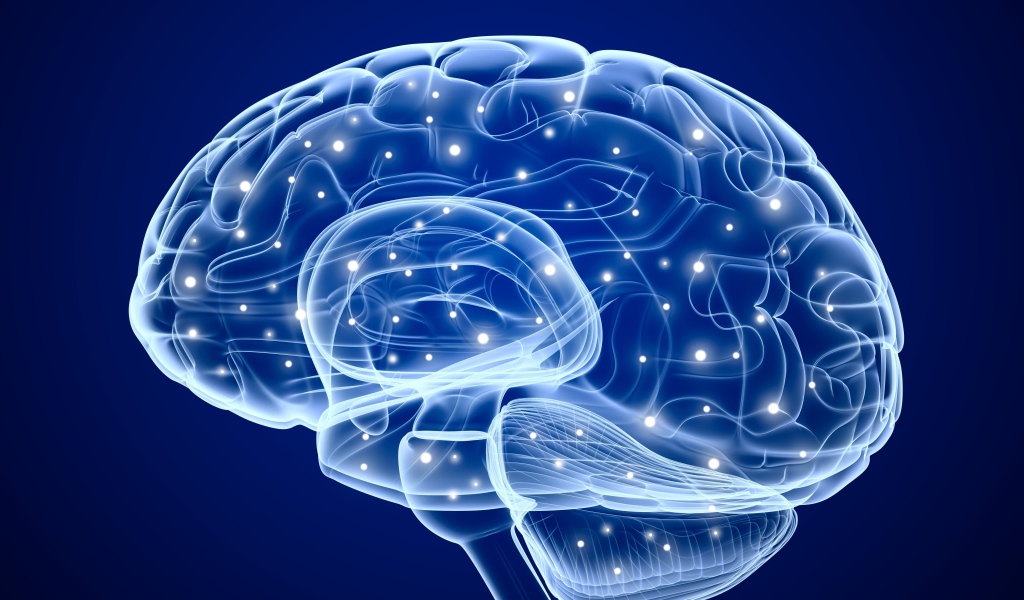 Электрические сигналы мозга