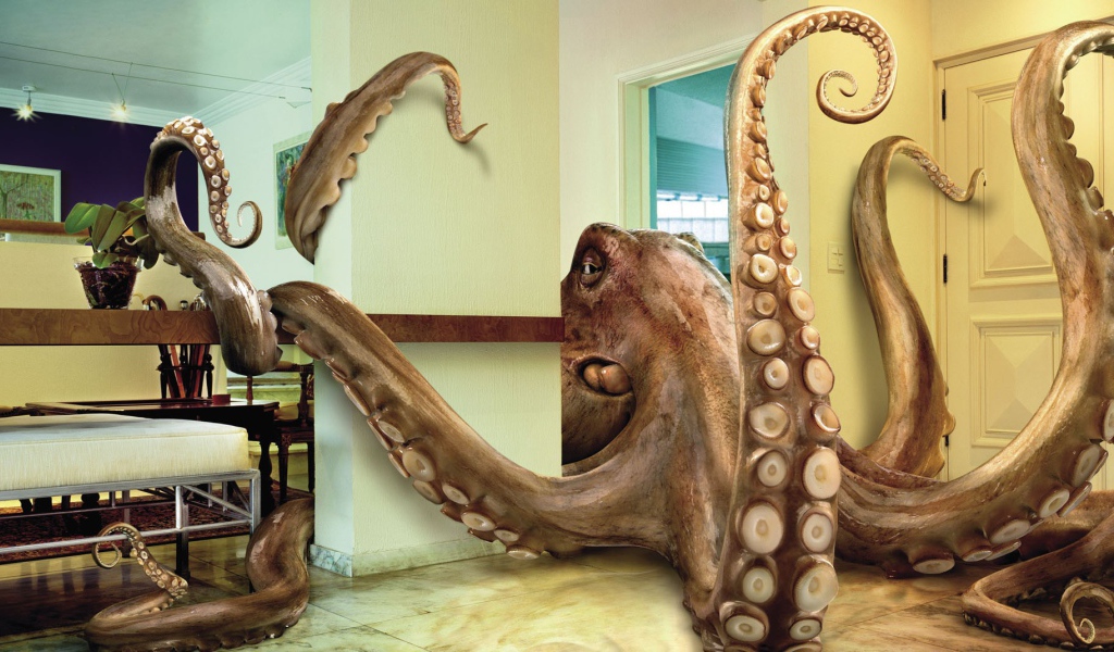 Осьминог в комнате, 3Д графика