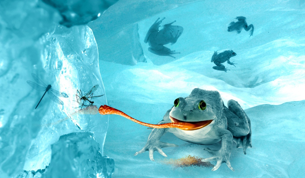 Лягушка среди льдов