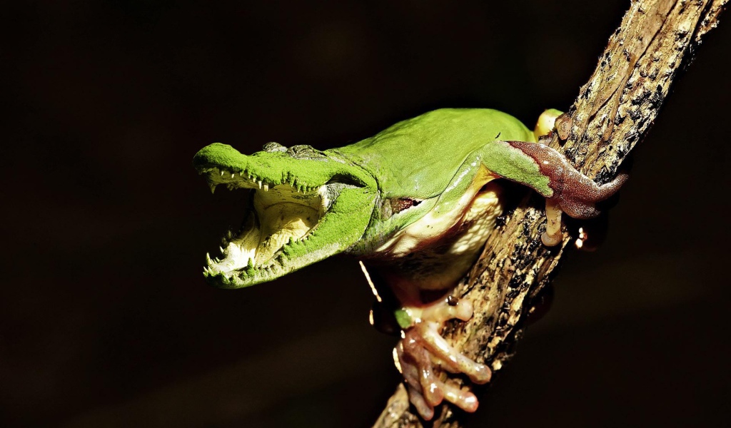 Лягушка крокодил на ветке
