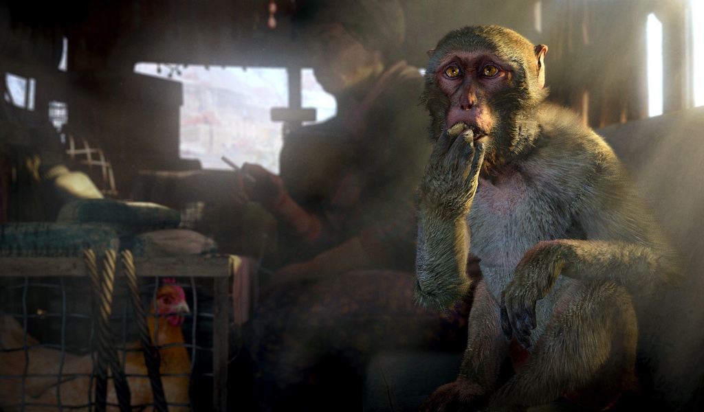 Обезьяна и курица в грузовике