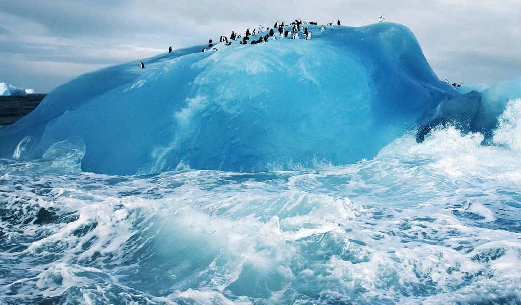Пингвины на голубом льду айсберга