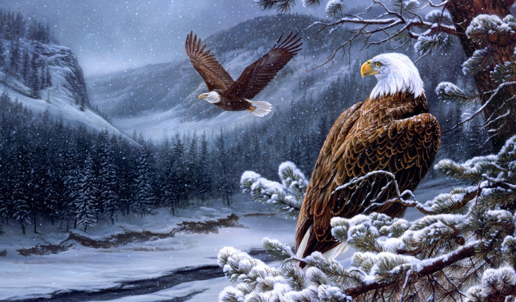 Белоголовые орланы в горах