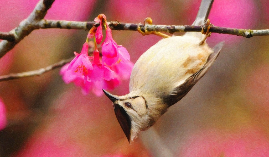 Птичка на ветке вниз головой