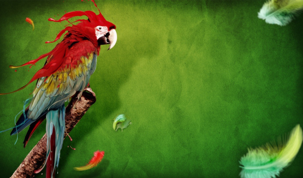 Красочный попугай на зеленом фоне