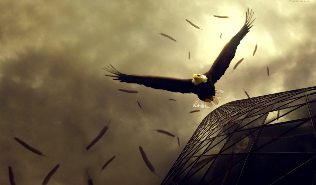 Орел теряет перья в полете