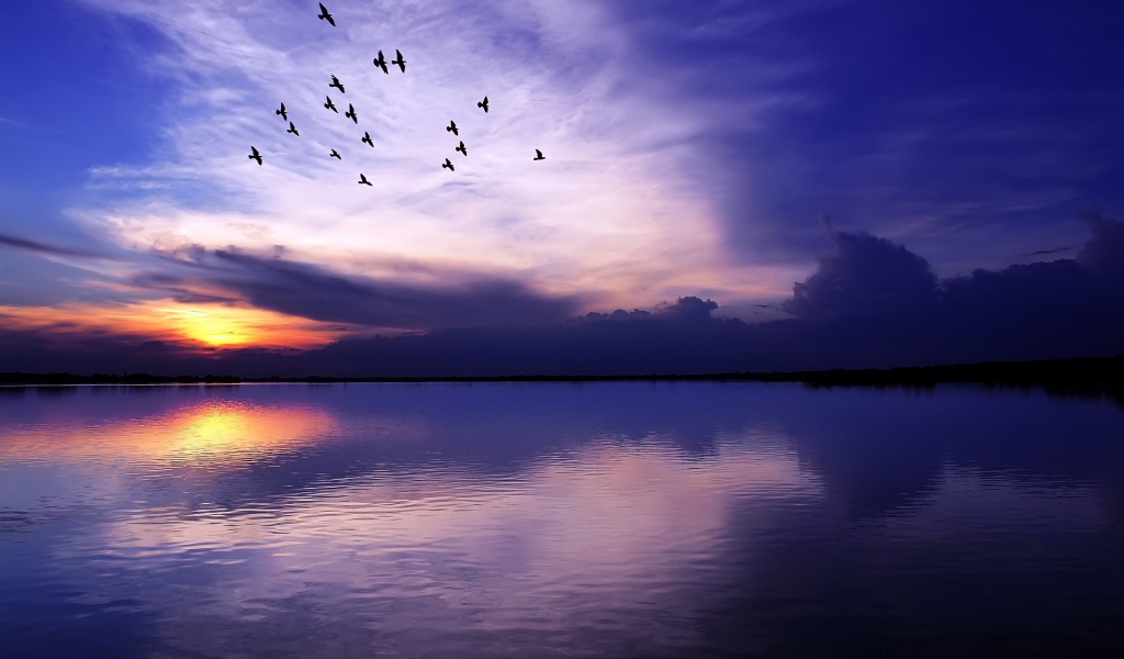 Стая птиц летит над озером