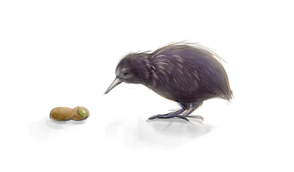 Kiwi is a bird and fruit