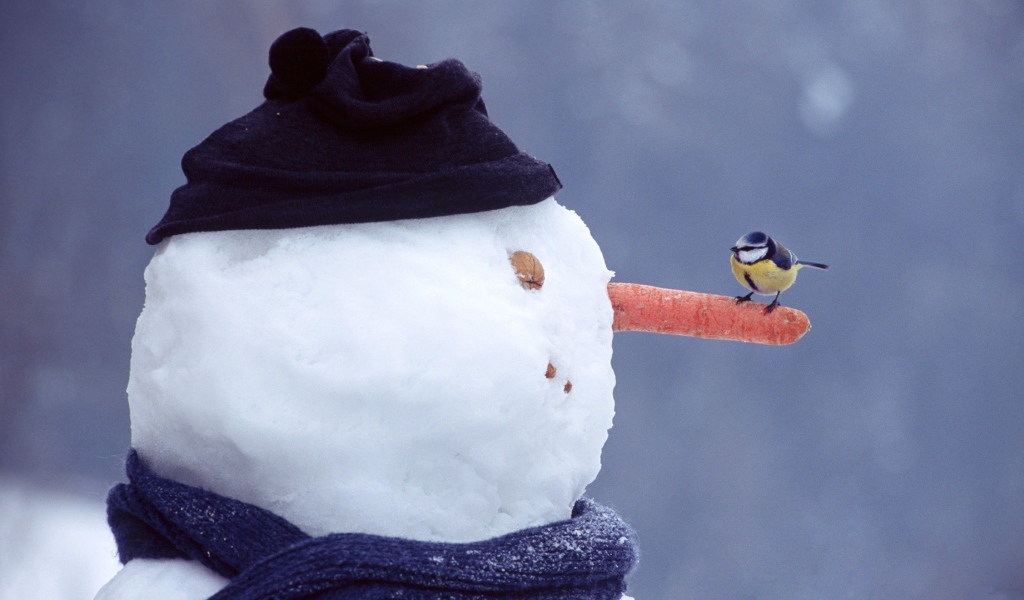 Синица на носу снеговика