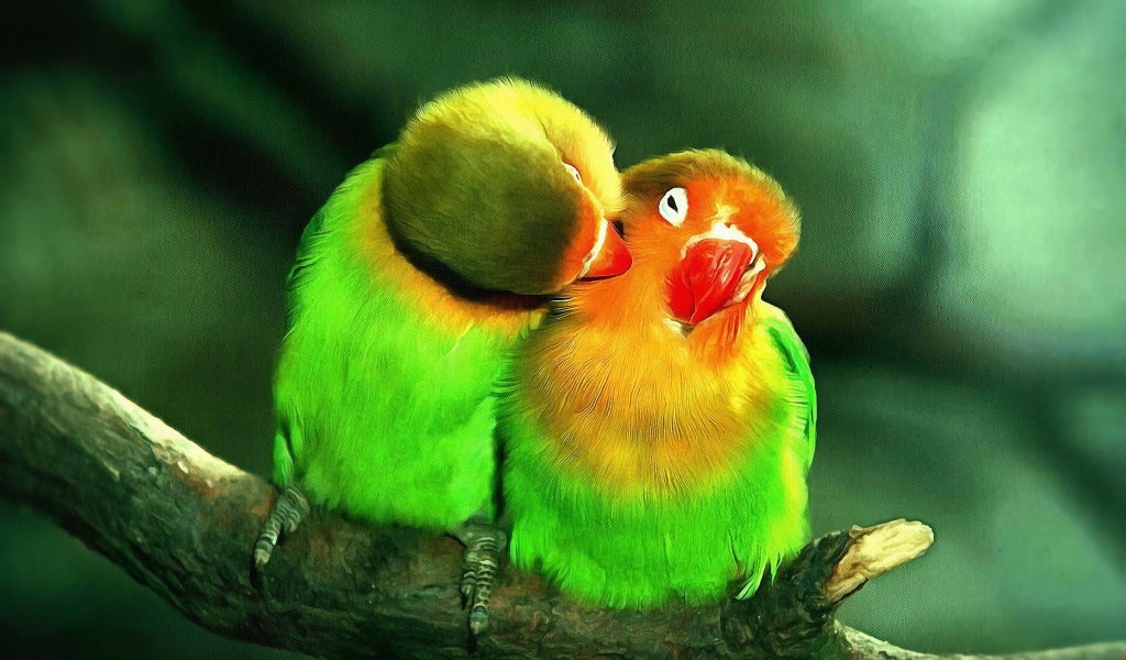 Два милых зеленых попугая на ветке дерева