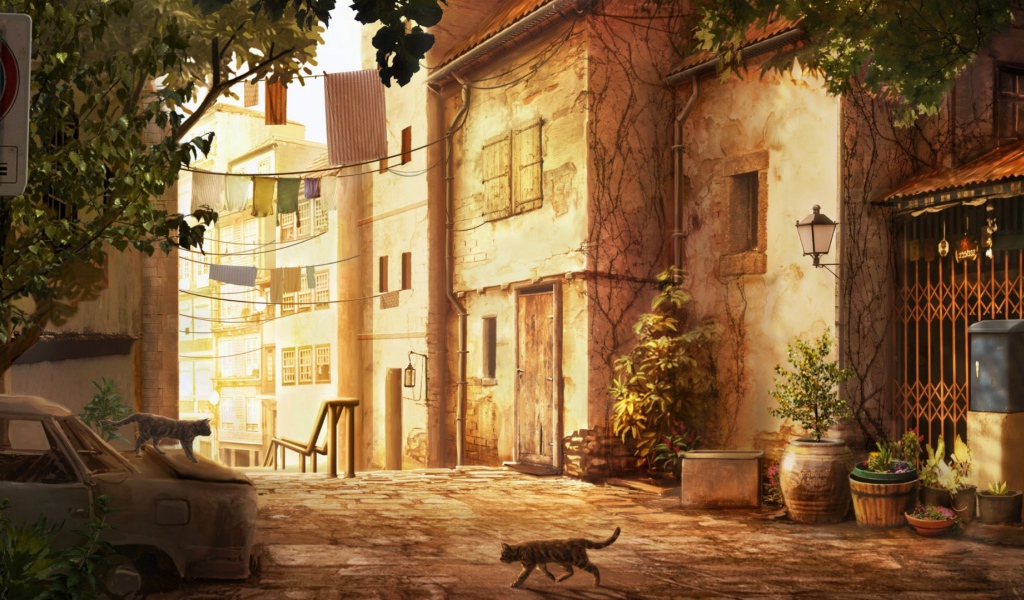 Кошка переходит дорогу