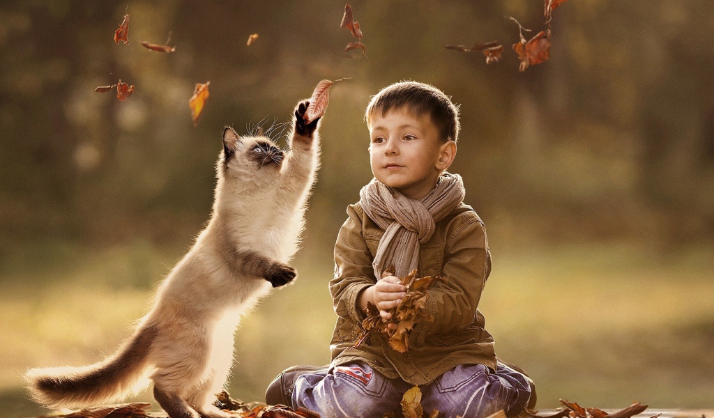 Ребенок и кот играют вместе