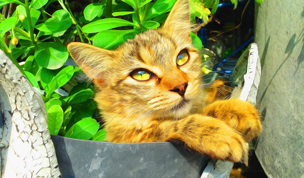 Милый рыжий кот на фоне зелени