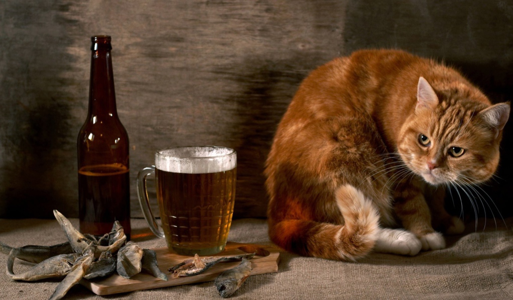 Рыжик тоже хочет пива