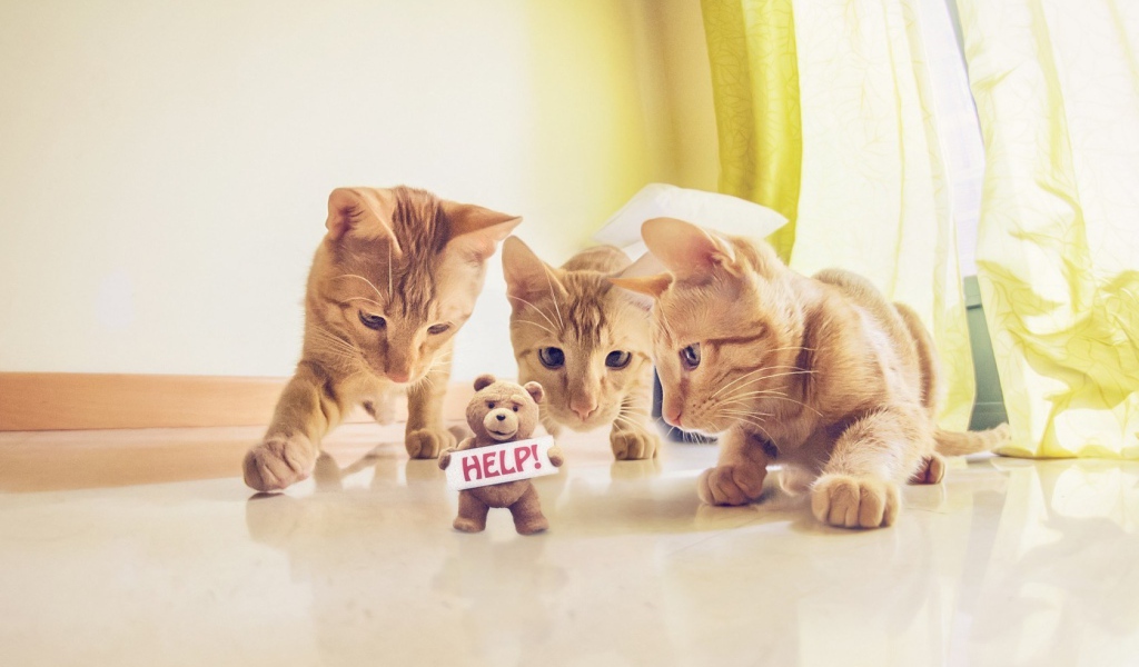Игрушка просит спасения от котов
