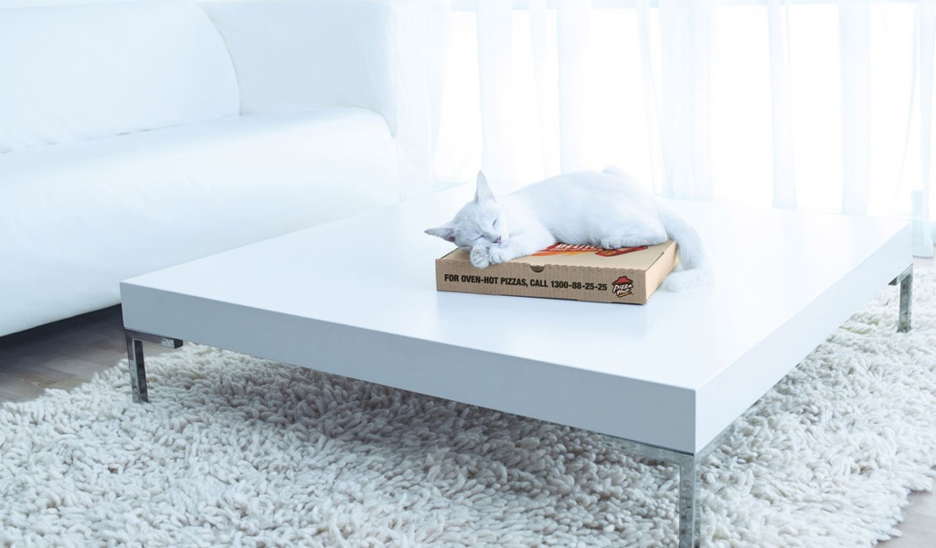 Белый кот спит на коробке на столе