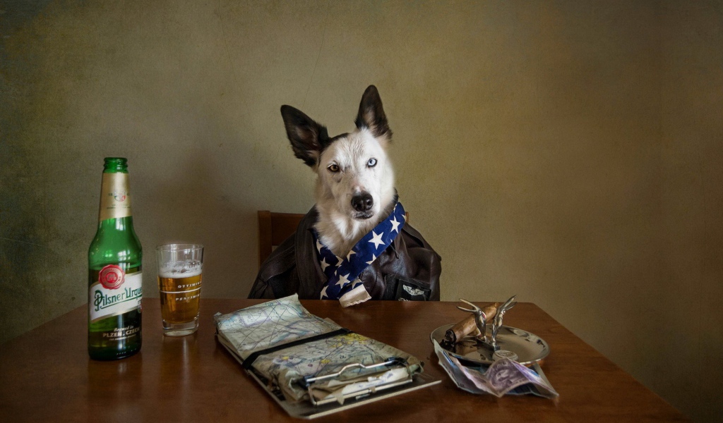 Собака за столом с пивом