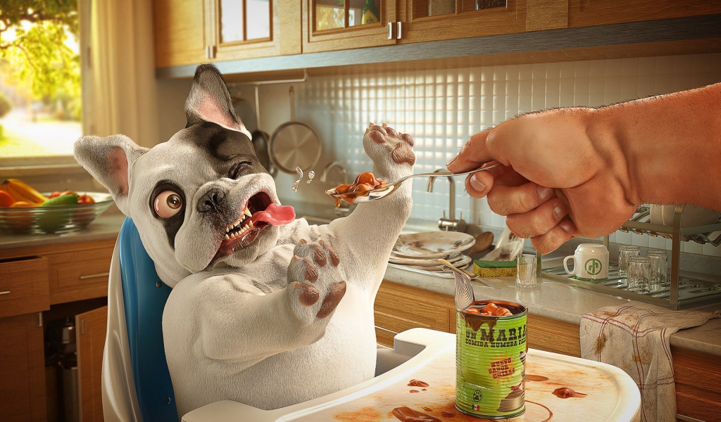 Собака отказывается от консервы