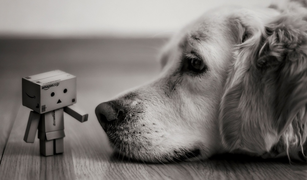 Человек из картона у носа собаки