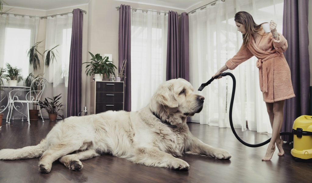 Хозяйка пылесосит собаку