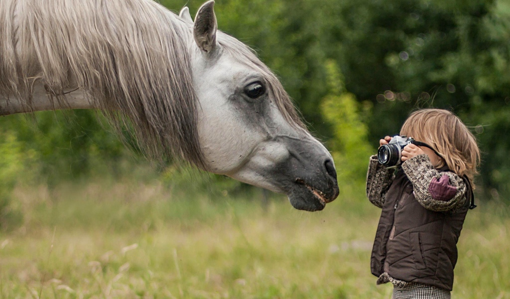 Мальчик фотографирует лошадь