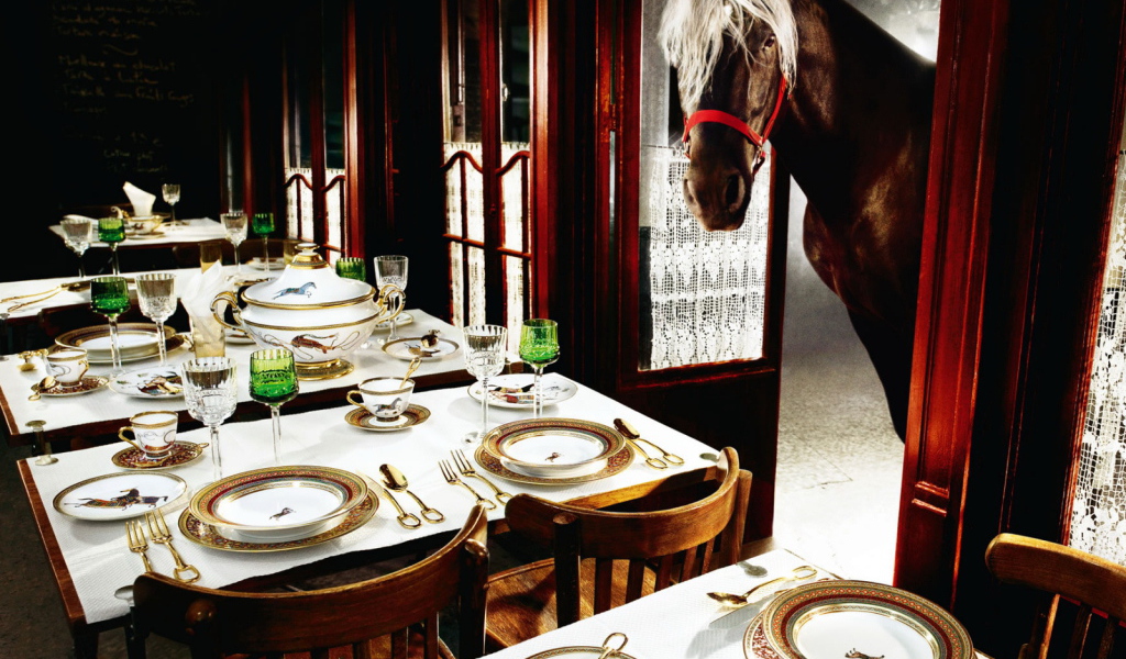 Лошадь в кафе