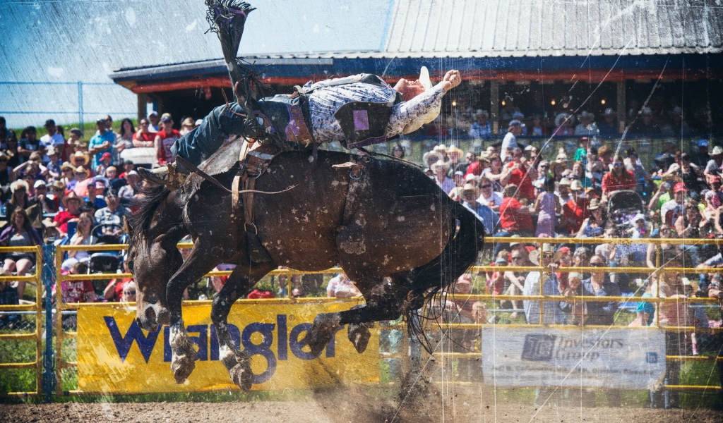 Всадник на лошади во время родео