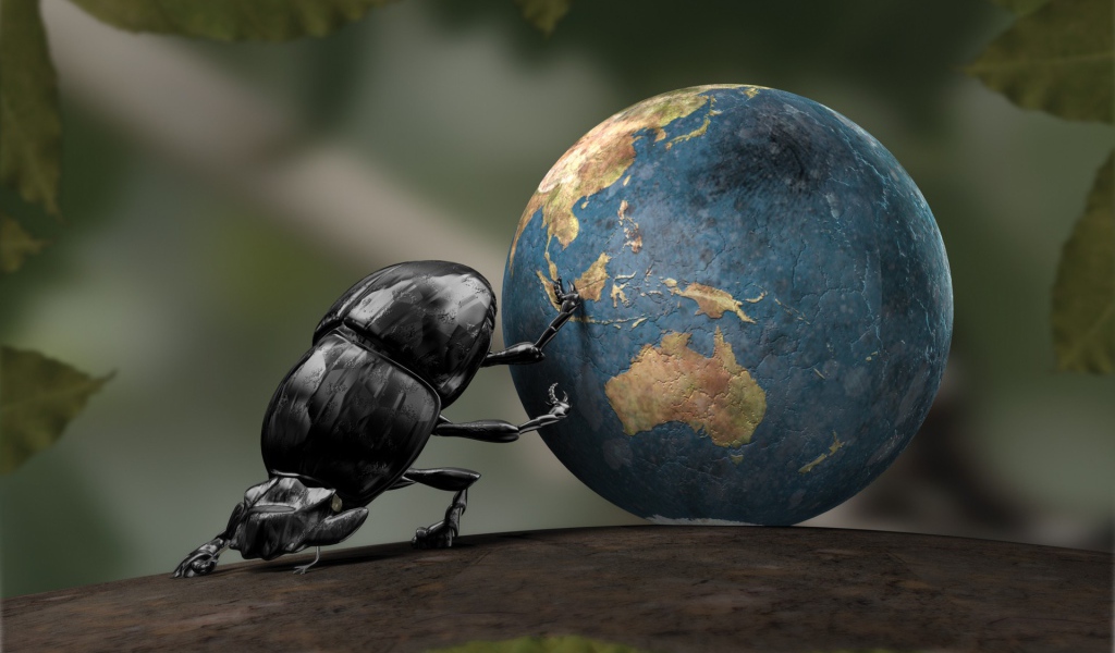 Жук скатал земной шар