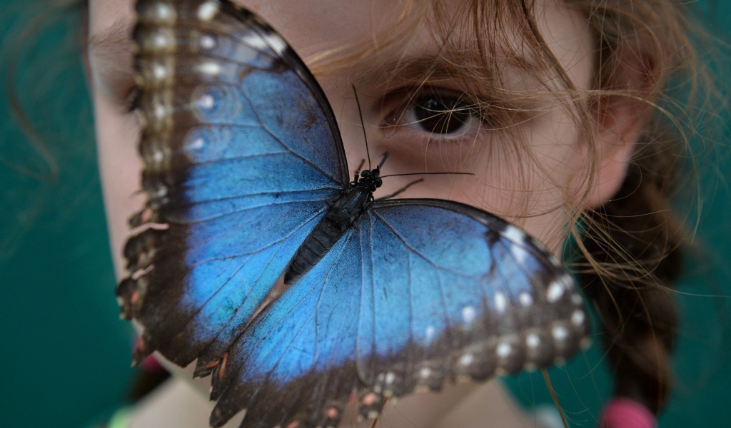 Синяя бабочка на лице девочки