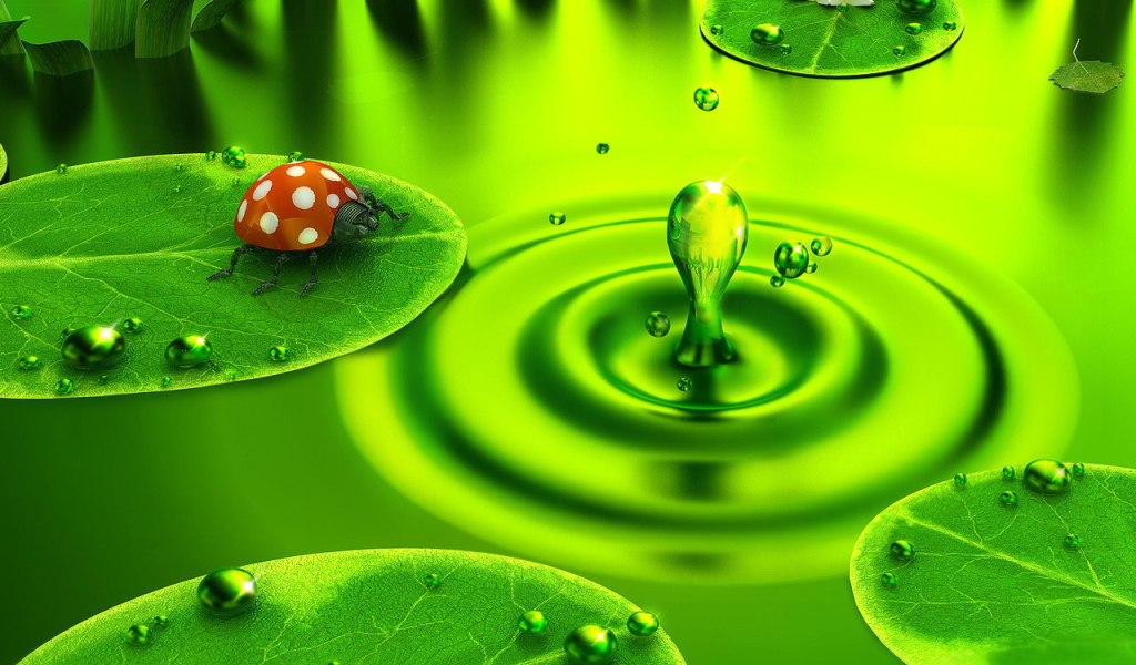 Божья коровка на водяном листке