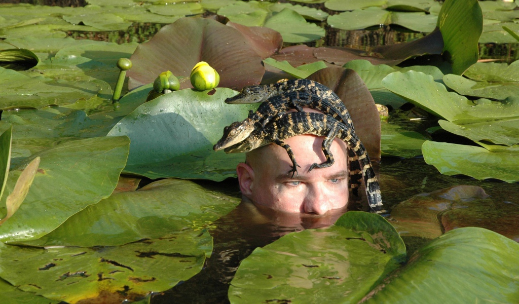 Крокодилы на голове человека