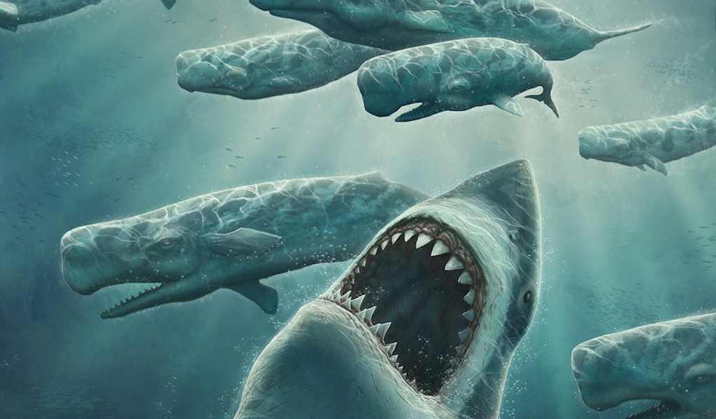 Охота зубастой акулы