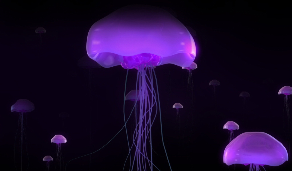 Розовые медузы
