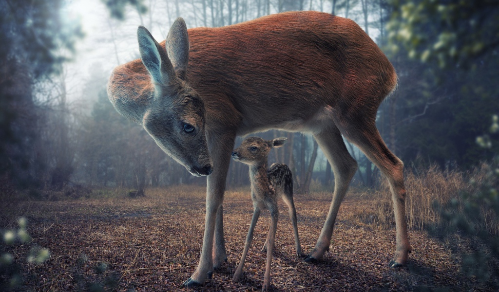Мама с олененком