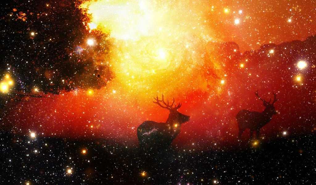 Олени среди звезд