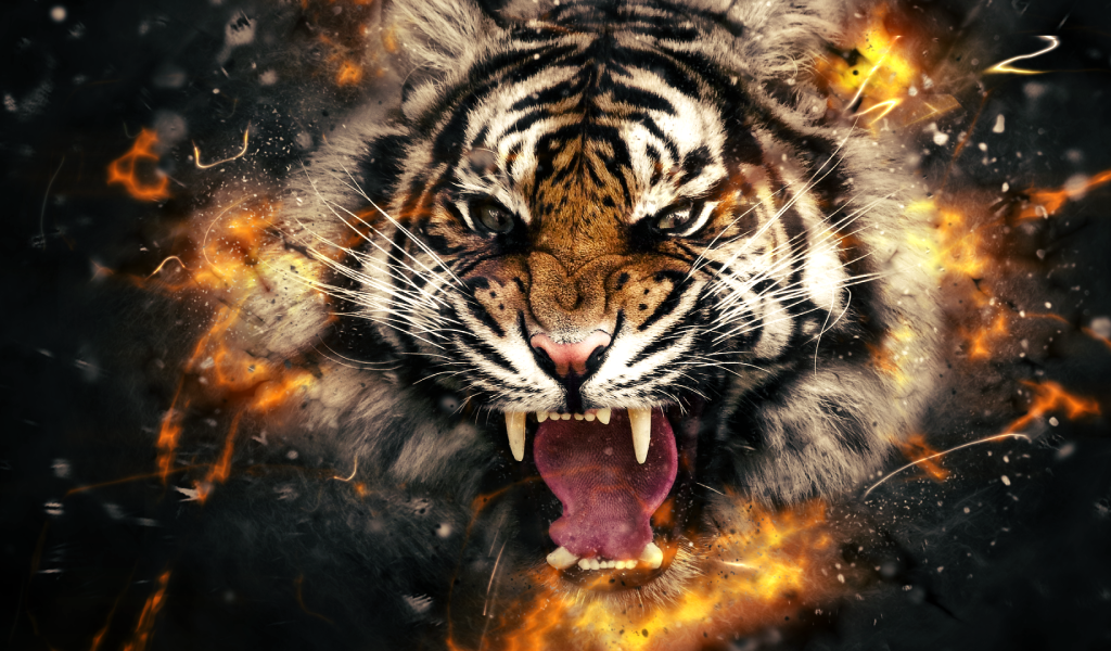 Огненный злой тигр