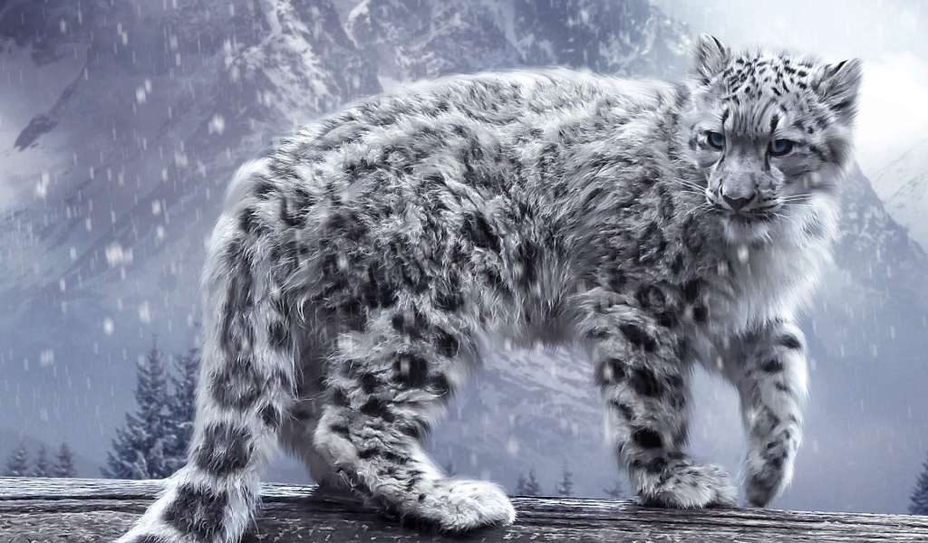 Лохматый снежный леопард с голубыми глазами