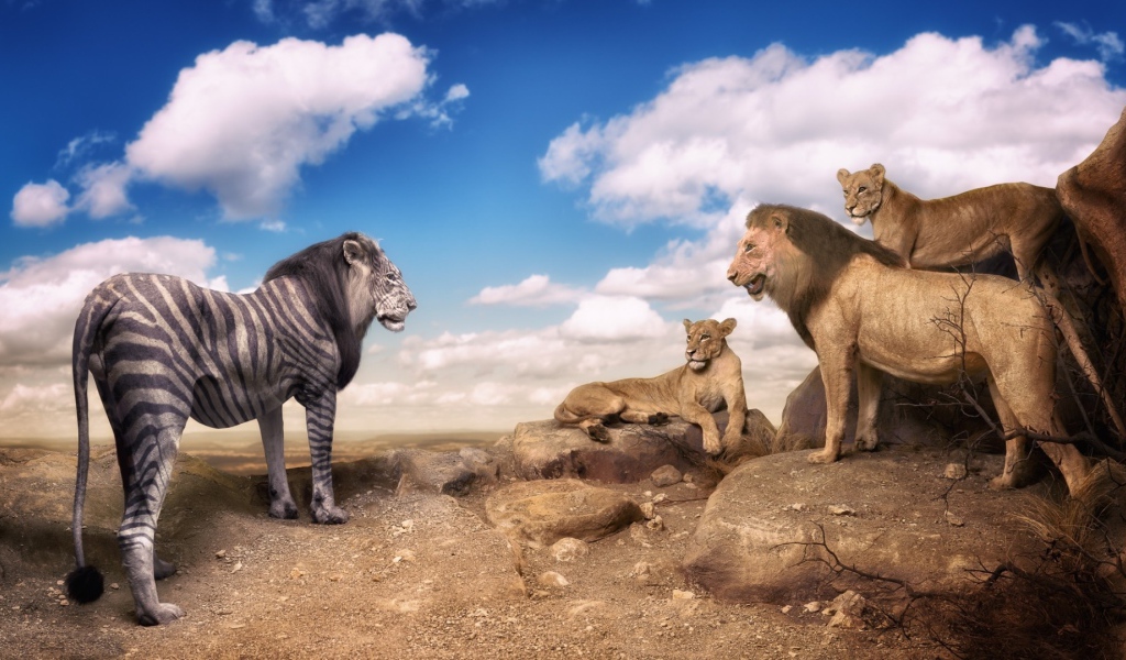 Необычный окрас льва