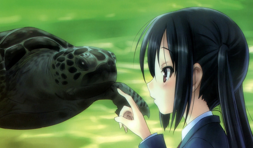 Девушка аниме и черепаха