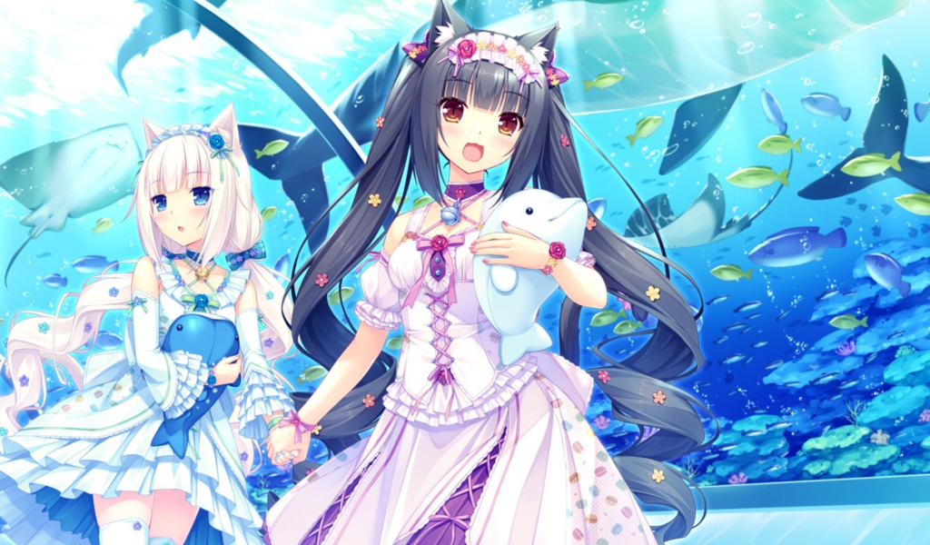 Девушки аниме в океанариуме, Neko Para