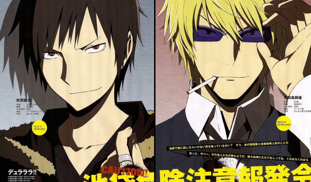 Книга аниме Дюрарара!!