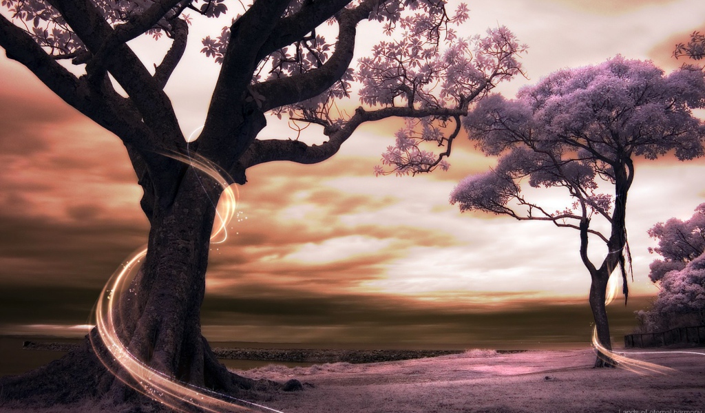 Сказочный сад в мире аниме