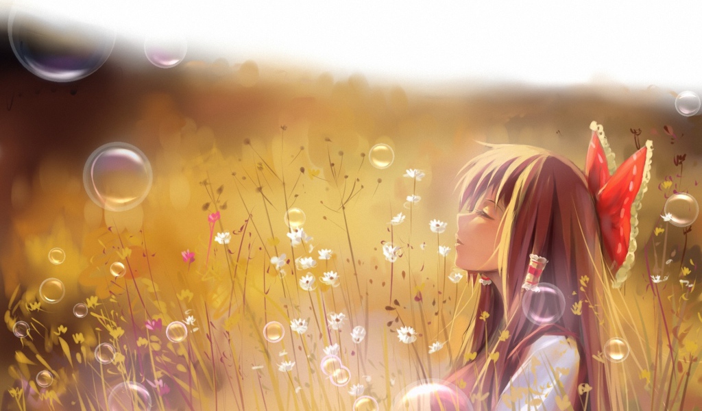 Девочка в поле, аниме Touhou Project