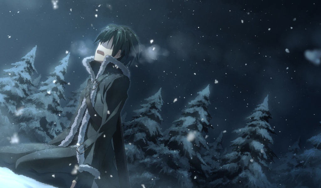 Одинокий герой аниме Sword Art Online