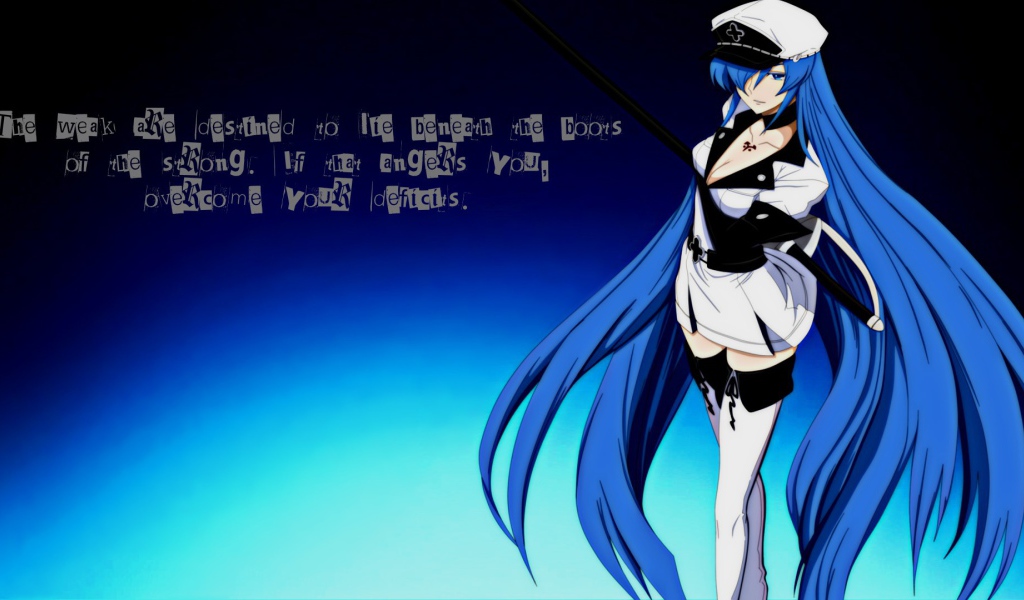 Длинные синие волосы, аниме Akame ga Kill